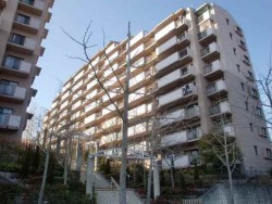 令和2年6月内装リフォーム完了！　南向きバルコニーで陽当たり良好！　全居室収納あり！