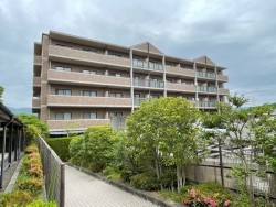 南・西の角部屋！　日当たり良好！　