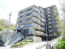 7階部分! 眺望良好! 全居室6帖以上! 2023年9月リフォーム済!