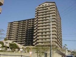 新規リノベーション物件! 令和7年12月下旬完了予定! 9階部分! 南東向きバルコニー! 日当たり・眺望良好!