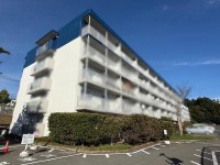 神戸市一円でお部屋を探すなら不動産情報満載のセンチュリー21ハウジング流通 〇3面採光で陽当たり・通風・眺望良好！ペット飼育可能で、大切なペットと一緒に快適に暮らせるお部屋です！
