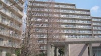 令和８年７月完了予定！　新規リノベーション物件！　ペット飼育可（規約あり）！　８階南向き！　日当たり良好！