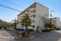 ひよどり台１団地８号棟は、ゆったり4DKの広さで家族にピッタリ！明るい日差しが差し込むお部屋で、バルコニーも完備。独立洗面台や専用バス、トイレで快適な生活をサポートします。交通は少々遠いですが、その分静かな住環境をお楽しみいただけます。忙しい毎日にも、ここが癒しの空間となりますように。