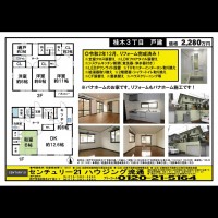 桂木・大原  宅配チラシ （3月8日発行）