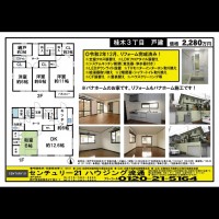 桂木・大原  宅配チラシ （3月15日発行）