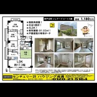 桂木・大原  宅配チラシ （7月12日発行）