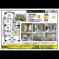 桂木・大原  宅配チラシ （7月26日発行）