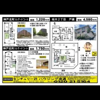 桂木・大原  宅配チラシ （12月6日発行）