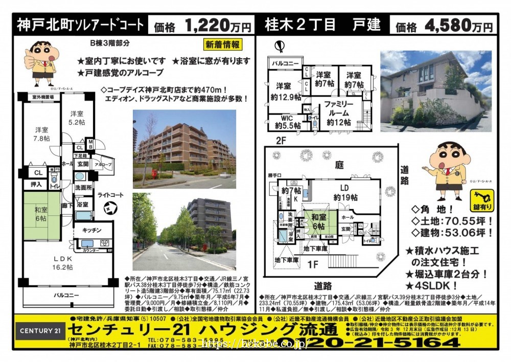 桂木・大原  宅配チラシ （12月13日発行）