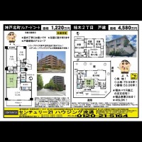 桂木・大原  宅配チラシ （12月13日発行）