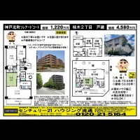 桂木・大原  宅配チラシ （12月20日発行）