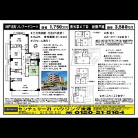 北鈴蘭台 宅配チラシ （2月7日発行)