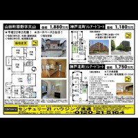 桂木・大原  宅配チラシ （2月21日発行）