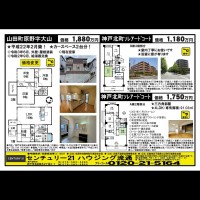 桂木・大原  宅配チラシ （3月7日発行）