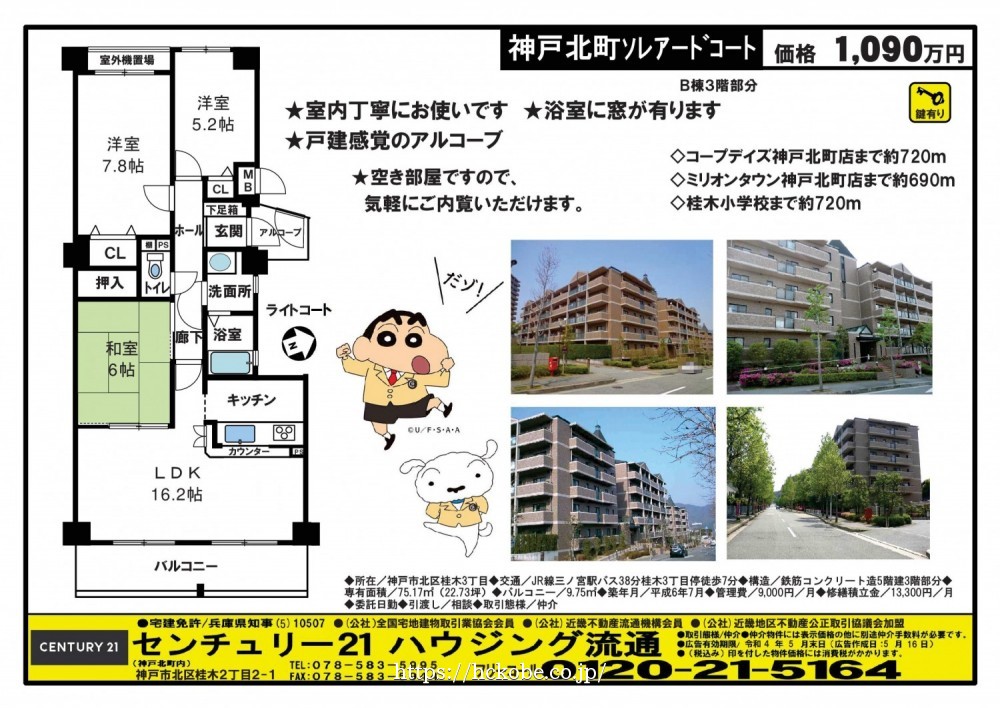 桂木・大原  宅配チラシ （5月16日発行）