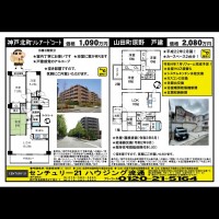 桂木・大原  宅配チラシ （6月6日発行）