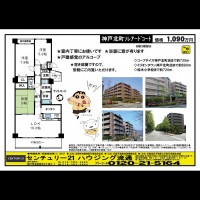 桂木・大原  宅配チラシ （7月4日発行）