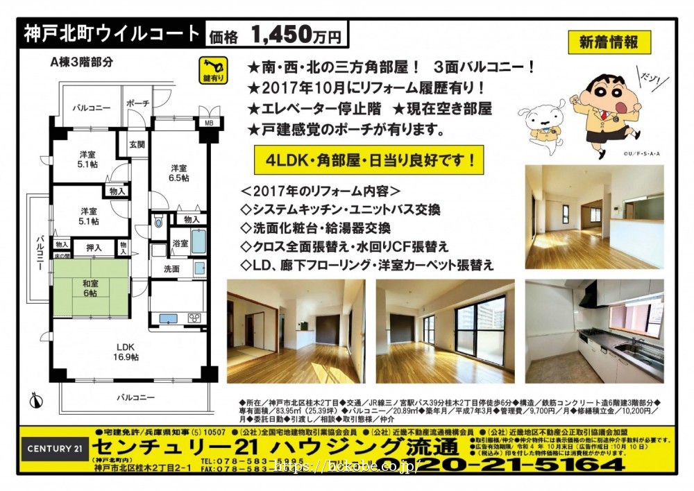 桂木・大原  宅配チラシ （10月10日発行）