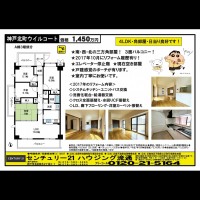 桂木・大原  宅配チラシ （10月31日発行）