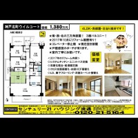 桂木・大原  宅配チラシ （11月28日発行）