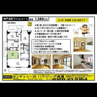 桂木・大原  宅配チラシ （1月16日発行）