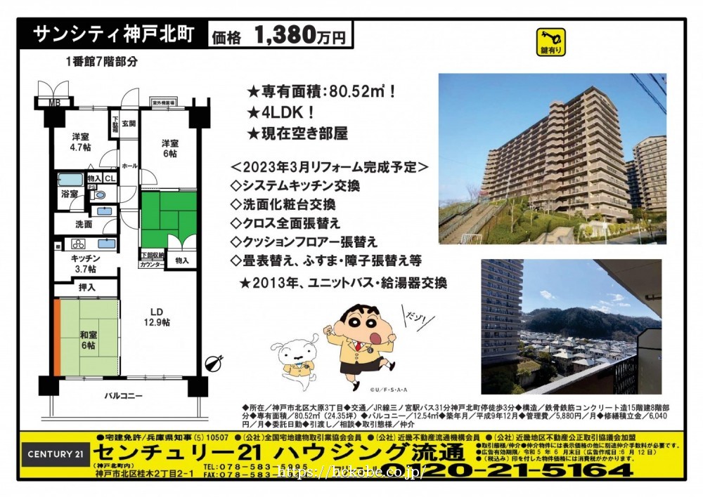 桂木・大原  宅配チラシ （6月12日発行）